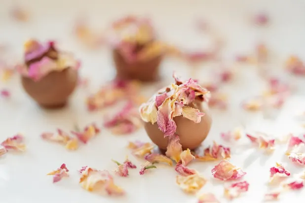 Tusk Casino Application Android/iOS